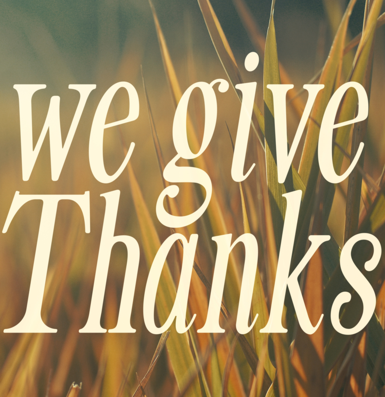 Thanksgiving
